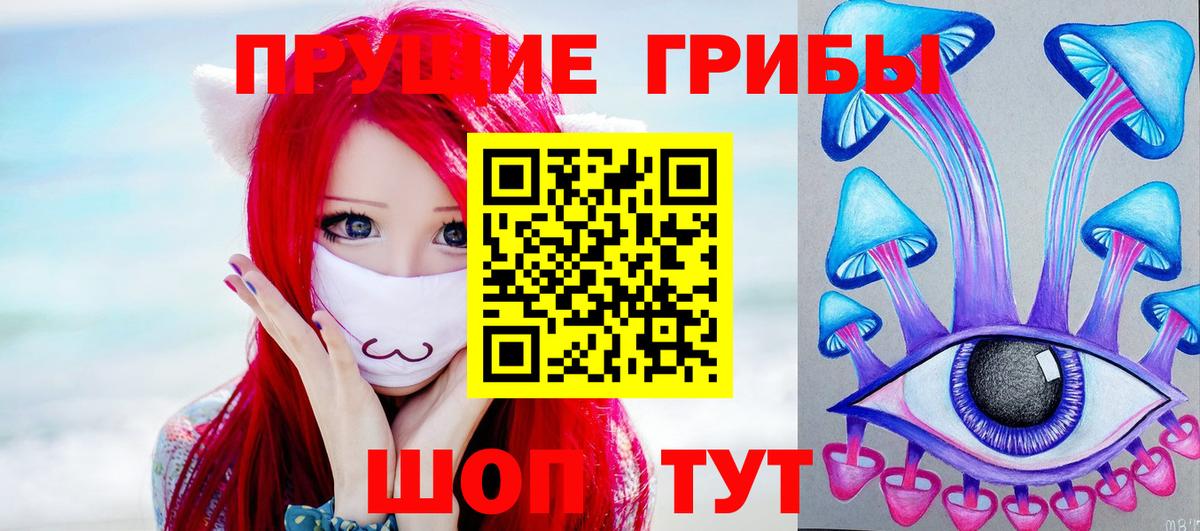 Псилоцибиновые грибы GOLDEN TEACHER Железноводск